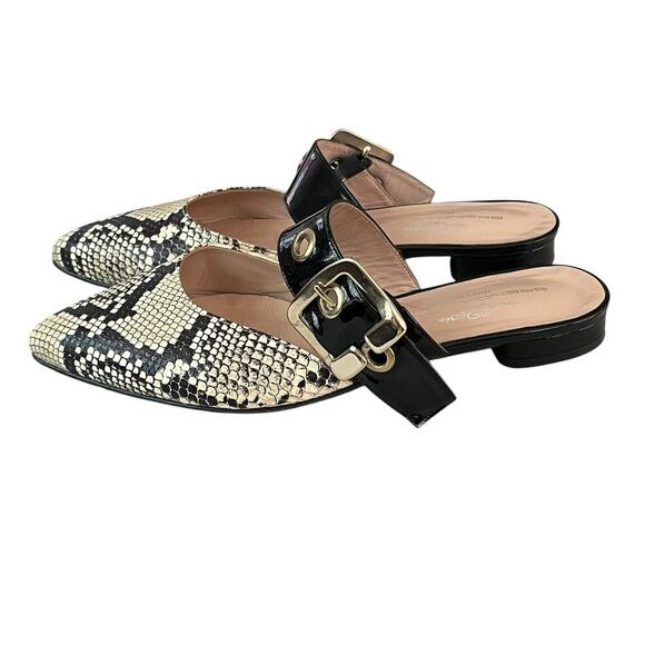 Brenda Zaro Mule Size 7. 5 Slip On Leather Python Pointed Toe Shoes Buckle Spain - Picture 1 of 11